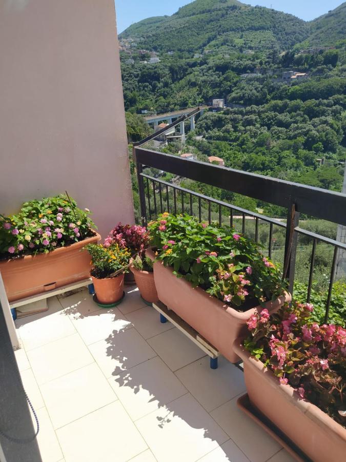 B&B Antonietta Вико-Экуенсе Экстерьер фото
